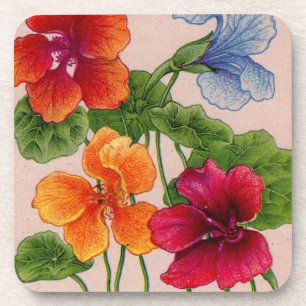 nasturtiums coaster