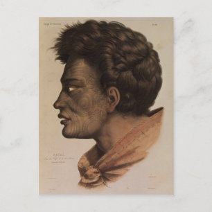 Natai, a Maori chief from Bream Bay, New Zealand Postcard