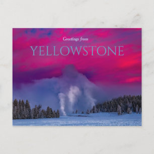 Natioinal Park Geysers Yellowstone Postcard