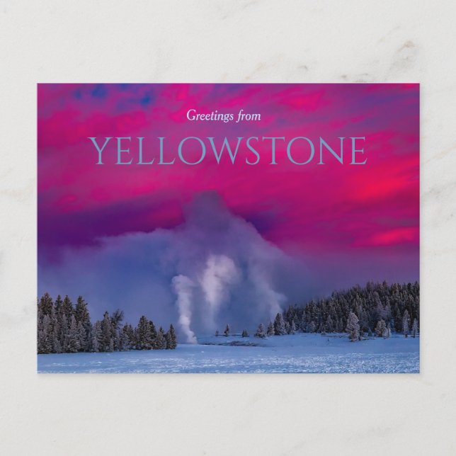 Natioinal Park Geysers Yellowstone Postcard  (Front)