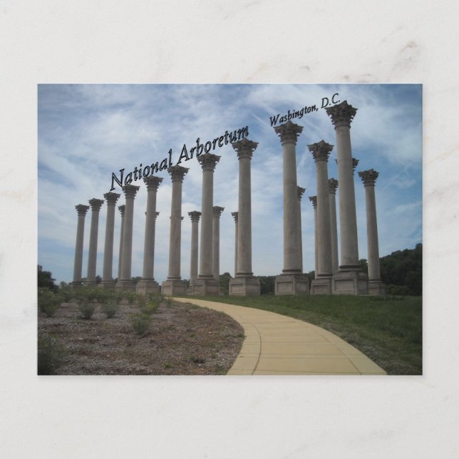 National Arboretum Washington DC Postcard (Front)