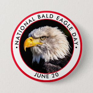 National Bald Eagle Day 7.5 Cm Round Badge