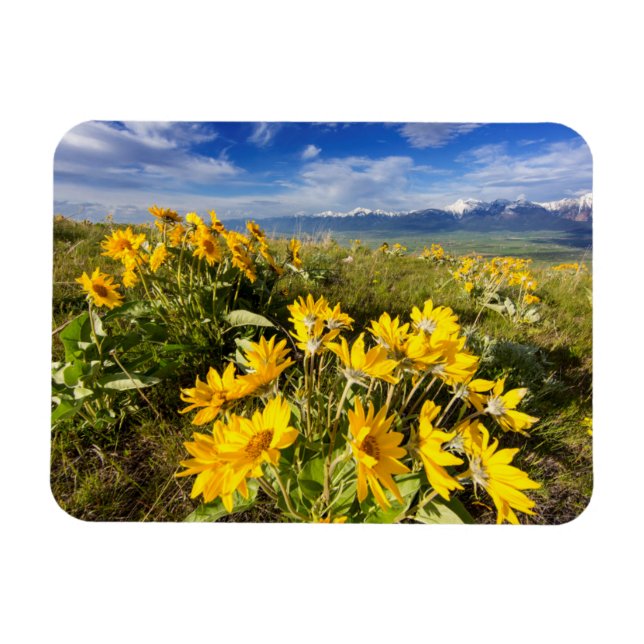 National Bison Range Magnet (Horizontal)