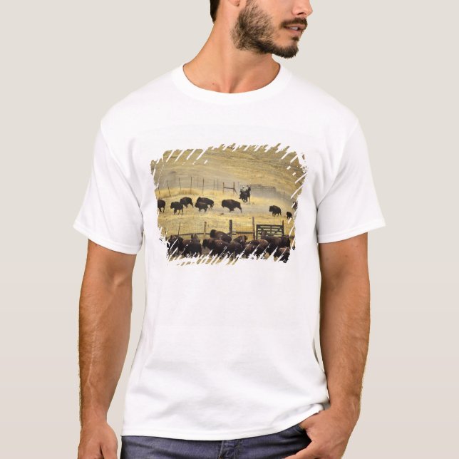 National Bison Range Roundup in Montana T-Shirt (Front)