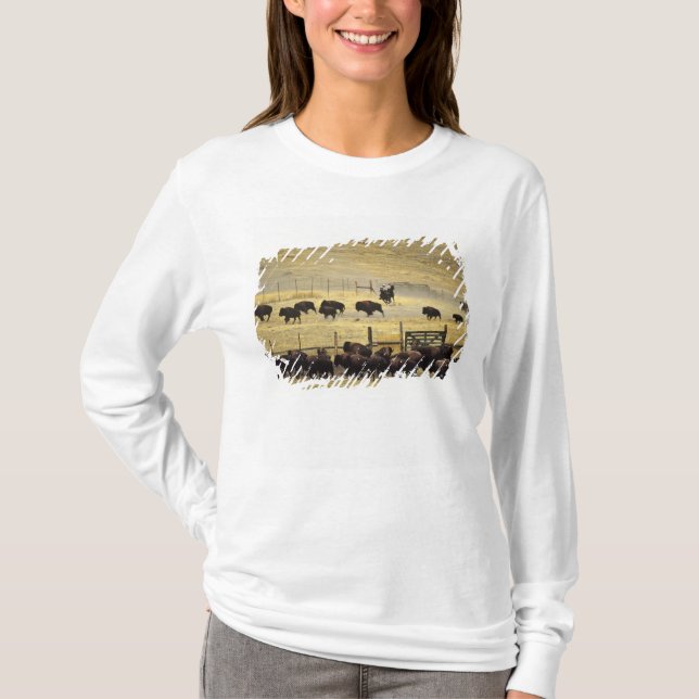 National Bison Range Roundup in Montana T-Shirt (Front)