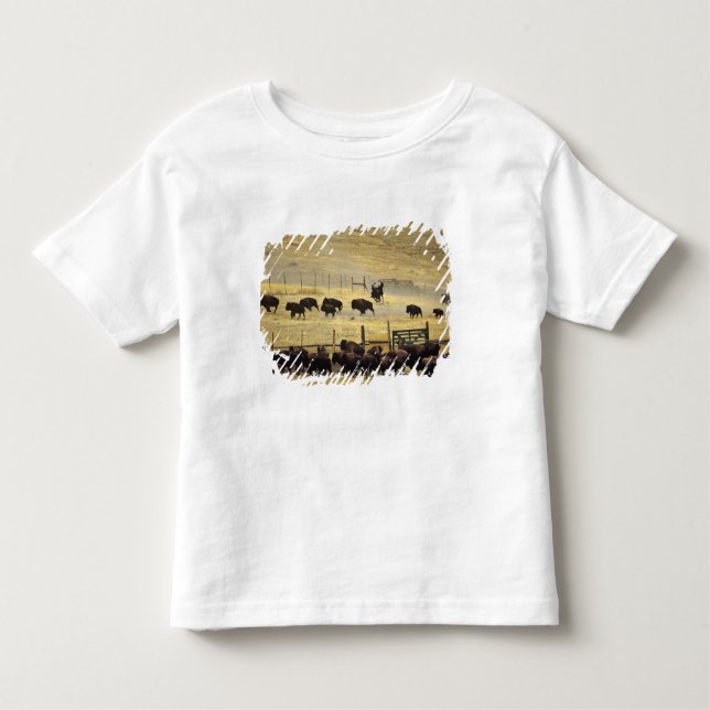 National Bison Range Roundup in Montana Toddler T-Shirt (Front)