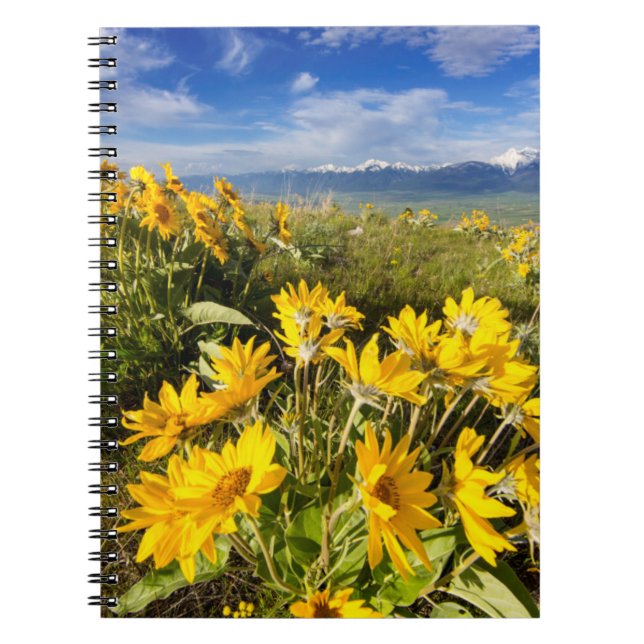 National Bison Range Spiral Notebook (Front)