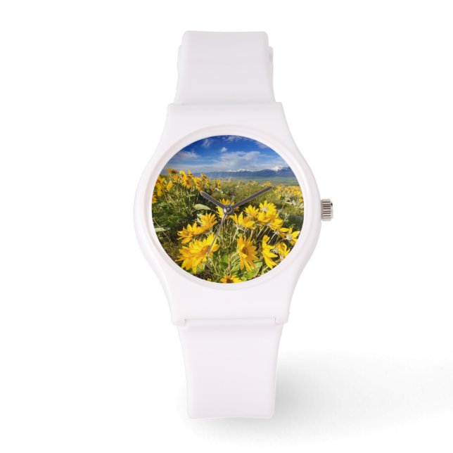 National Bison Range Watch (Front)