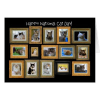 National Cat Day, Cat Portrait Gallery Card