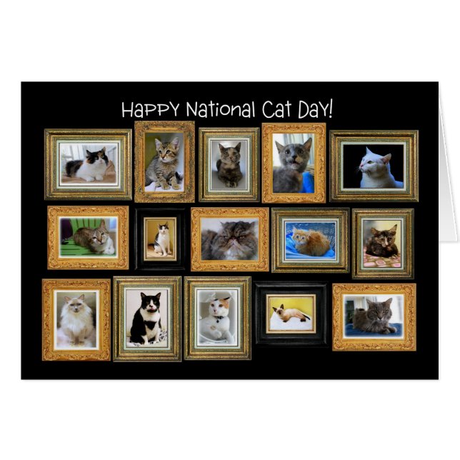 National Cat Day, Cat Portrait Gallery Card (Front Horizontal)