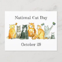 National Cat Day October 29 Tuxedo Calico Cat