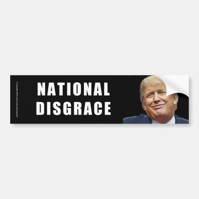 NATIONAL DISGRACE BUMPER STICKER (Front)