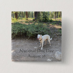 National Dog Day August 26 15 Cm Square Badge