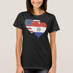 National Flag of Paraguay souvenir for men women T-Shirt