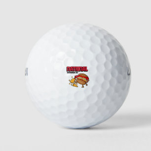 National Hamburger Day Golf Balls