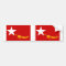 National League For Democracy, Myanmar flag