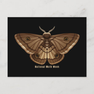 National Moth Week Postcard