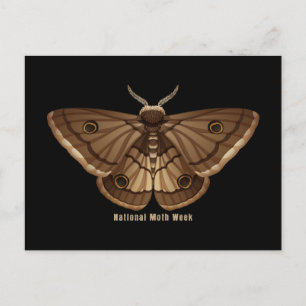 National Moth Week Postcard