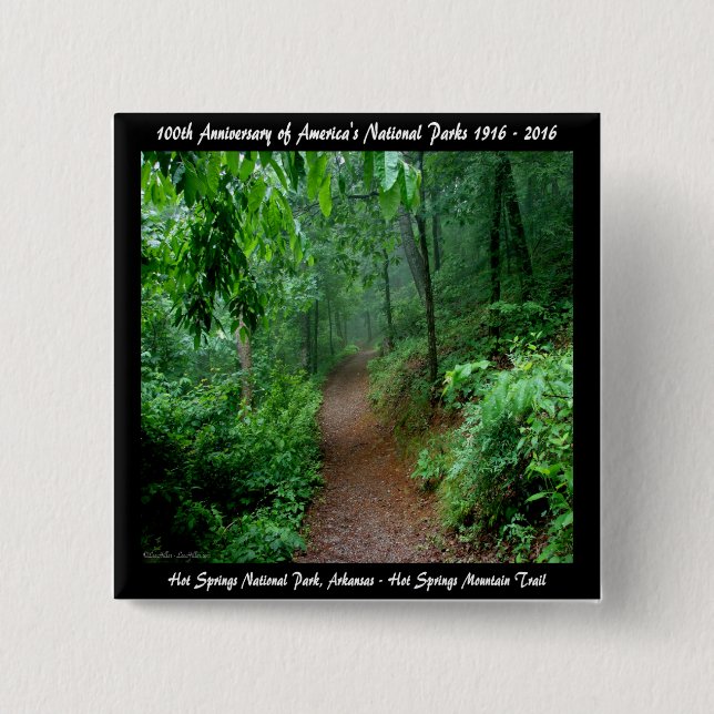 National Park Anniversary Hot Springs Mt Trail 15 Cm Square Badge (Front)