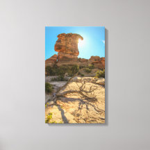 National Park Day