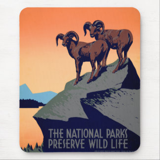 National Parks Mouse Pad