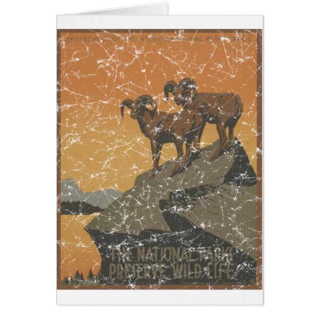 National Parks - Mt. Goats - distressed (Front)