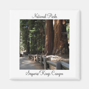National Parks - Sequoia/Kings Canyon Magnet