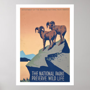 National Parks Wildlife Poster