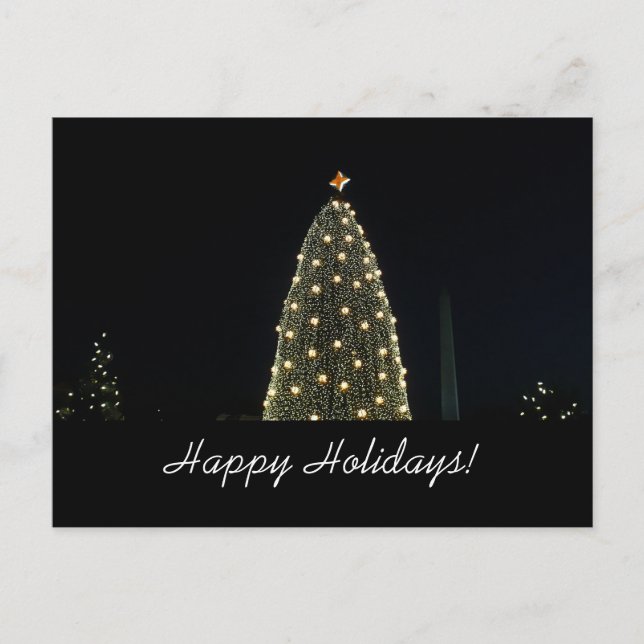 National Tree and Washington Monument Postcard (Front)