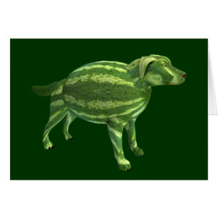 National Watermelon Day Dog