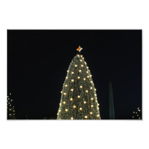 National Xmas Tree & Washington Monument at Night Photo Print
