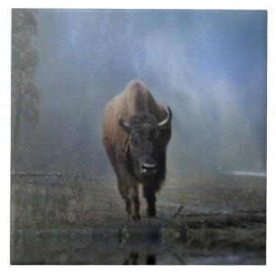 Native American Bufallo in the Mist Art Tile
