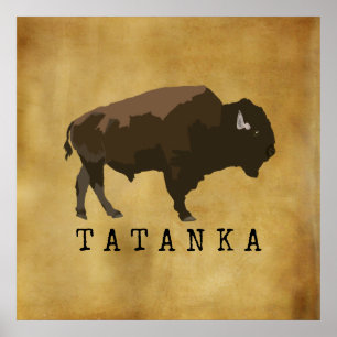 Native American Buffalo   Bison   Tatanka Drawing Poster