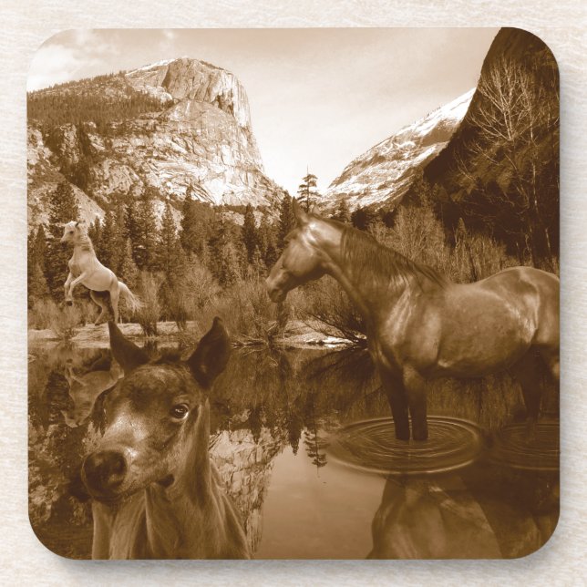 native american coaster (Front)