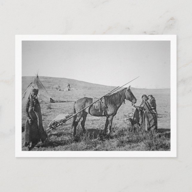 Native American Cree people of Western Canada, c.1 Postcard (Front)