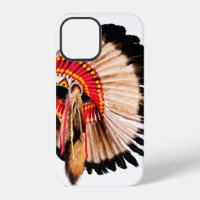 native american indian chief headdress (indian chi