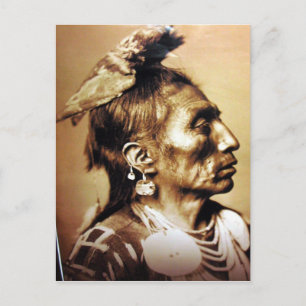 Native American Indian Vintage Portrait Postcard
