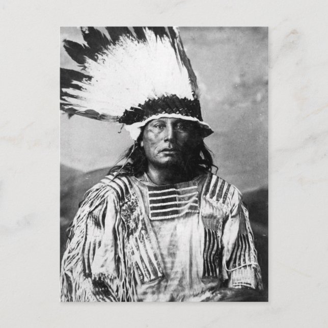 Native American Indian Vintage Portrait Postcard (Front)