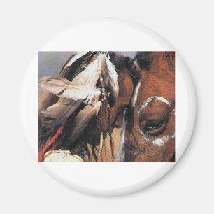 NATIVE AMERICAN MAGNET