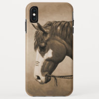 Native American Pinto War Horse in Sepia