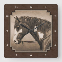 Native American Pinto War Horse in Sepia