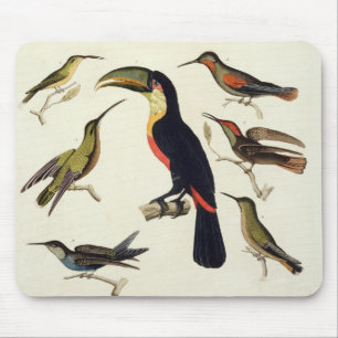 Native birds, including the Toucan (centre), Amazo Mouse Pad
