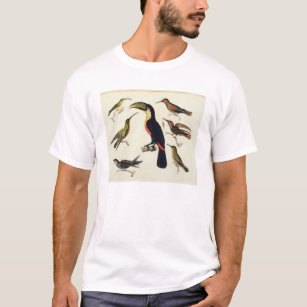 Native birds, including the Toucan (centre), Amazo T-Shirt