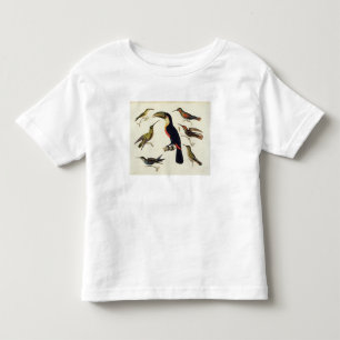 Native birds, including the Toucan (centre), Amazo Toddler T-Shirt