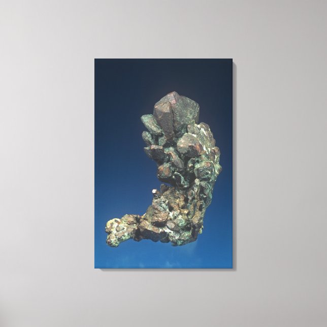 Native copper (Cu), Michigan, USA Canvas Print (Front)