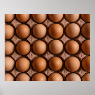 Native egg lot poster
