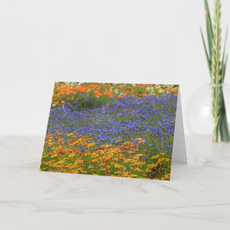 Native flowers, Cape Town Holiday Card