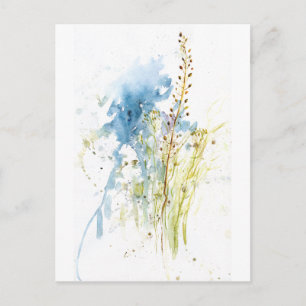 Native-grasses Postcard