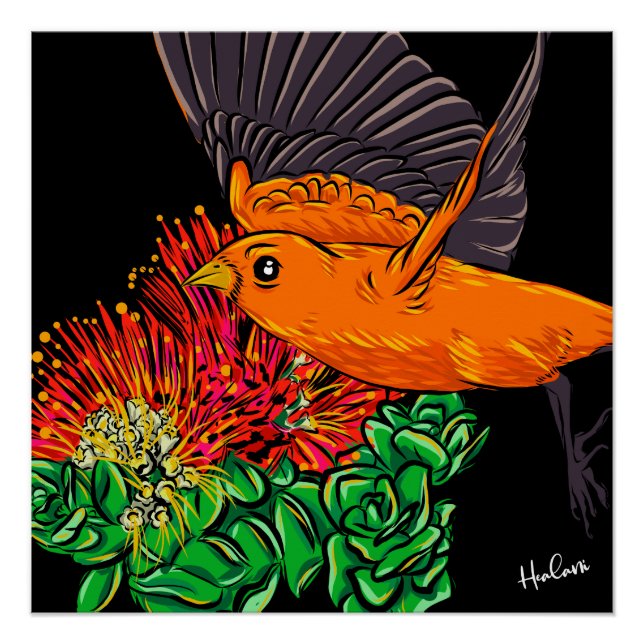 Native hawaiian bird art poster (Front)