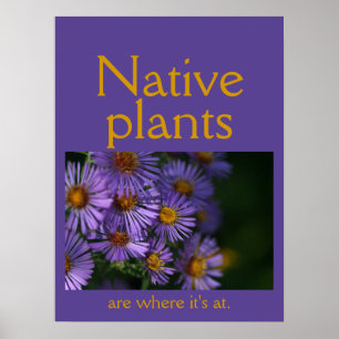 Native plants are where it's at poster